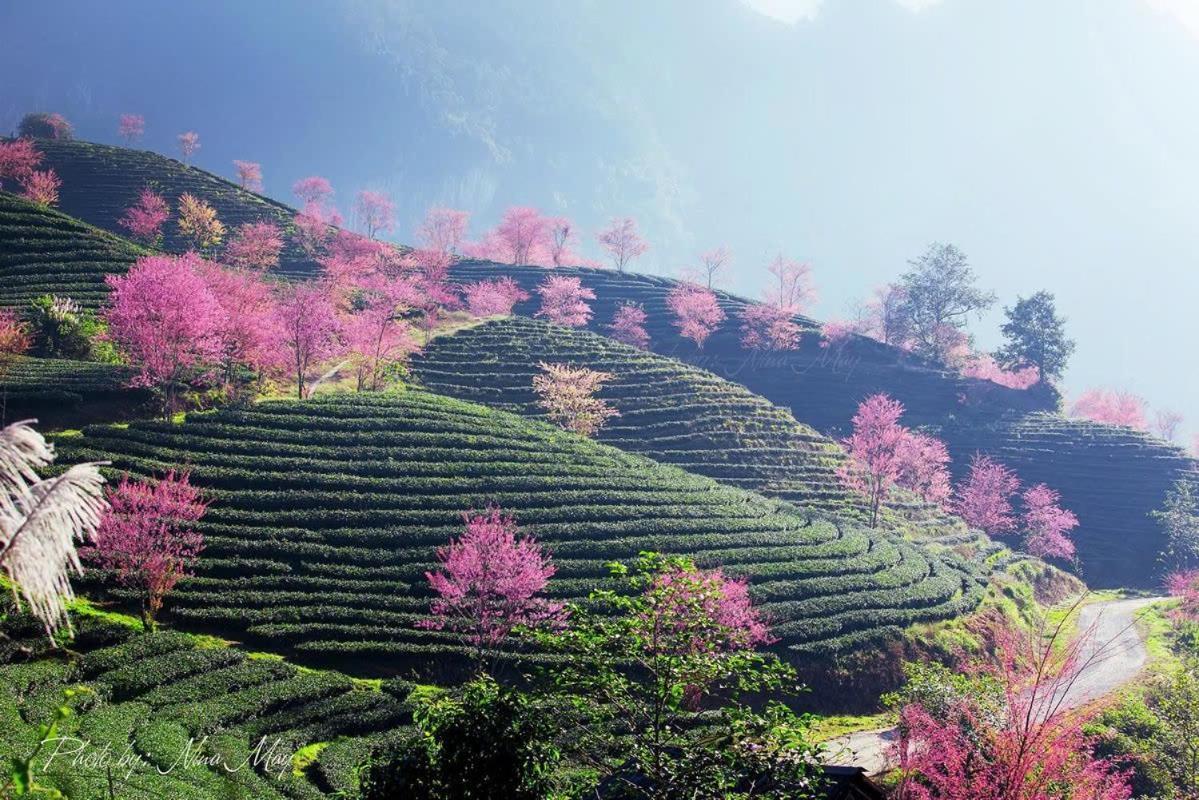 Ha Giang Hotel Sapa Kültér fotó