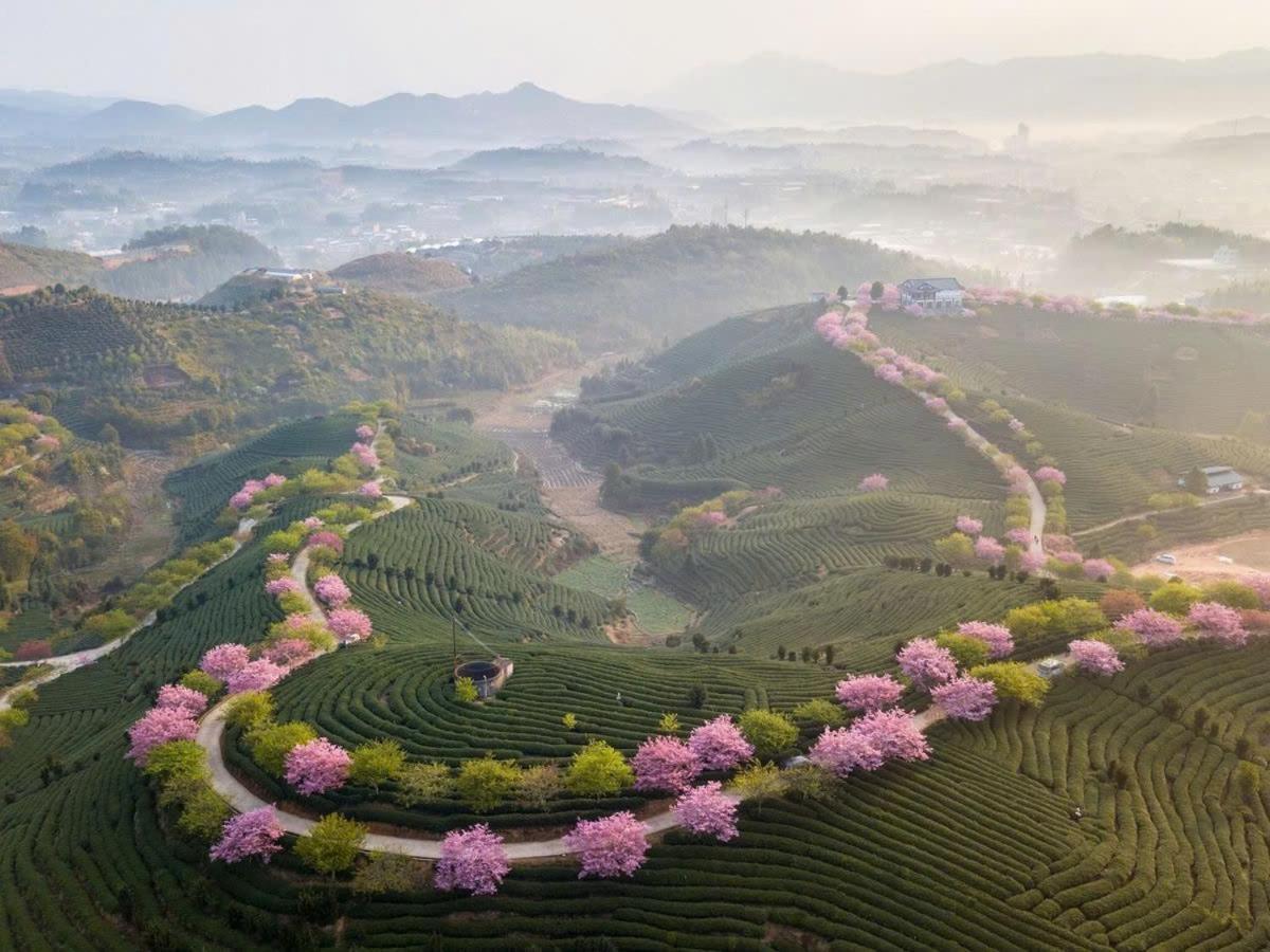 Ha Giang Hotel Sapa Kültér fotó