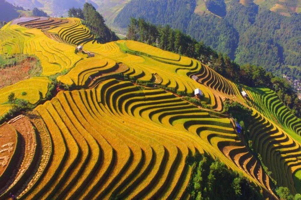 Ha Giang Hotel Sapa Kültér fotó